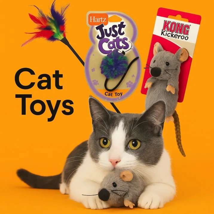 Cat Toys